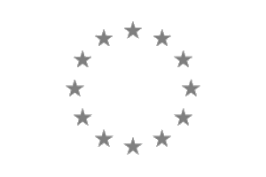 Head of the EU Delegation to the African Union, 2019
